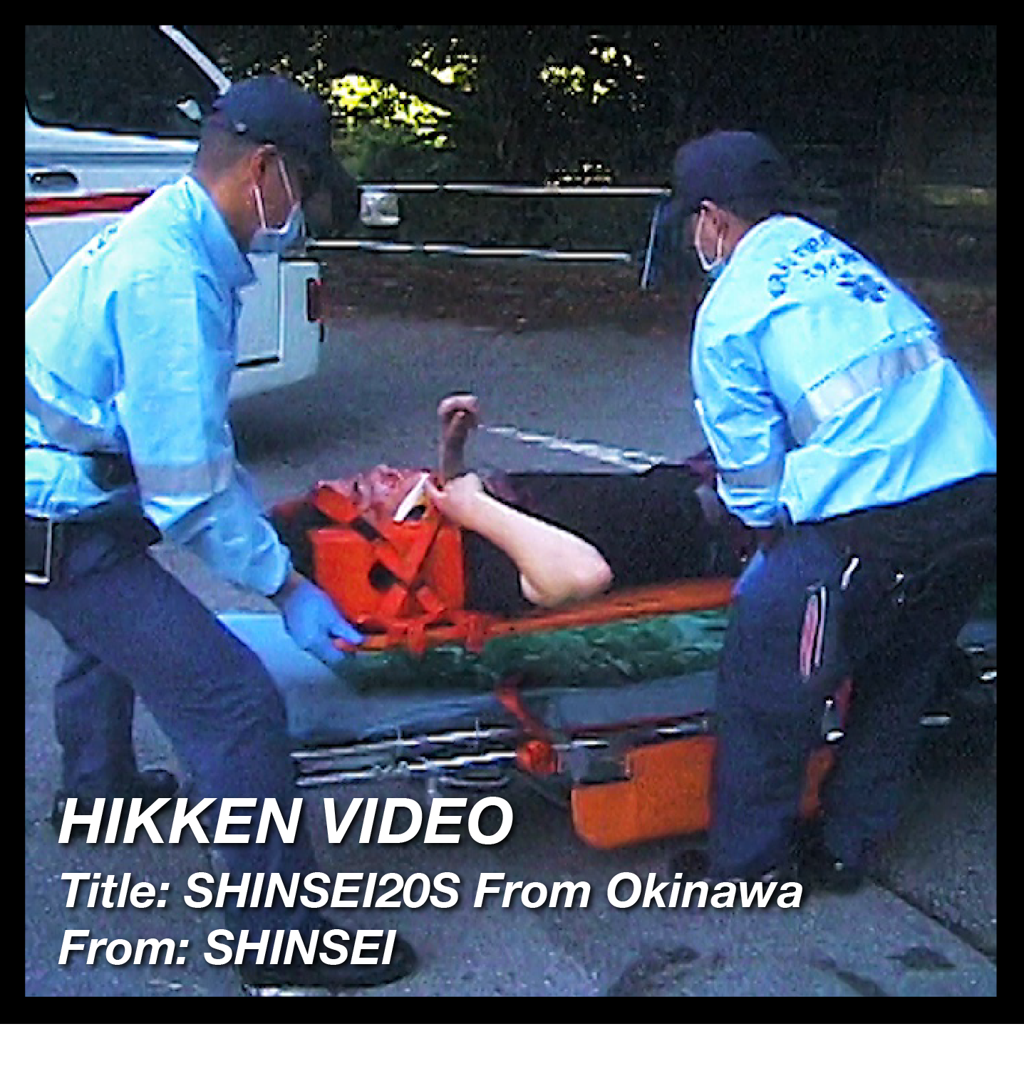 You are currently viewing [HIKKEN] SHINSEI20S From Okinawa