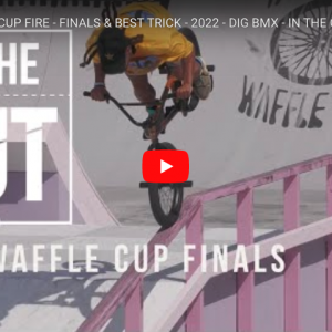 Read more about the article VANS WAFFLE CUPのハイライト映像公開